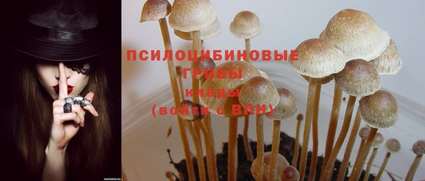 таблы Алексеевка