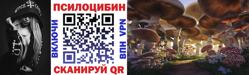 наркошоп  Оса  Галлюциногенные грибы Psilocybine cubensis 