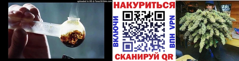 Бошки Шишки сатива  закладка  Оса 